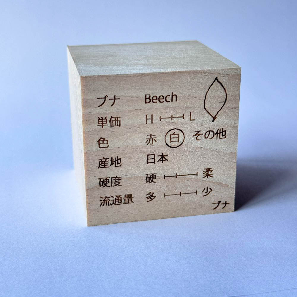 ものづくりブロック【世界の16種セット】(樹種説明入り)桐箱セット