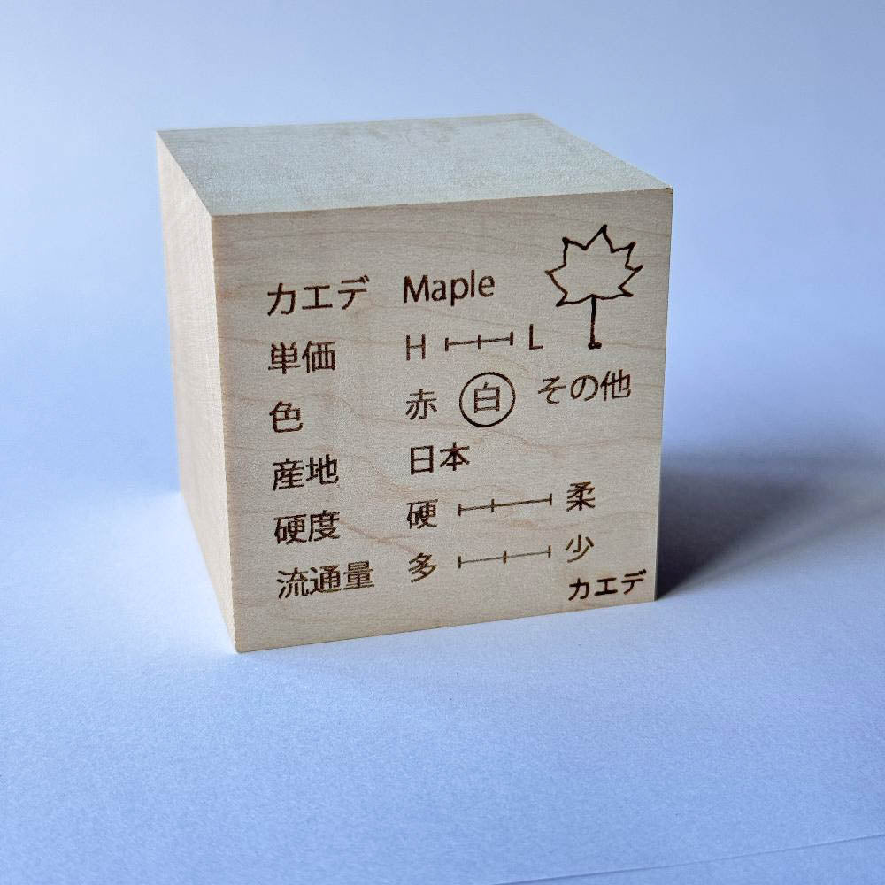 ものづくりブロック 世界の16選 樹種説明印字 桐箱セット